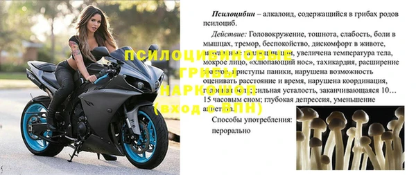прущая мука Саяногорск
